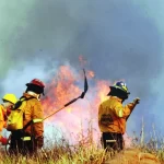 Bolivia recibirá  bomberos forestales venezolanos para combatir incendios