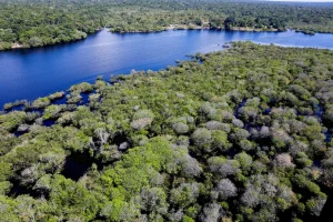 Venezuela Participa en el Foro de Ministras y Ministros de Ambiente de Países Amazónicos