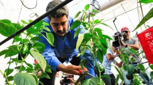 Agricultura Nacional