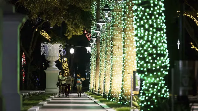 Cantemos Juntos en Navidad