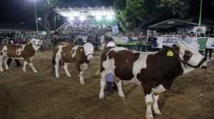 Falcón celebrará la Expoferia Navideña