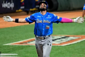 Gran Final de la Serie de las Américas