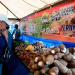 Más de 432 toneladas de alimentos fueron distribuidas en La Guaira durante enero