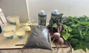 Inauguración de la Ruta Agroturística