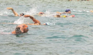 Selección de Venezuela