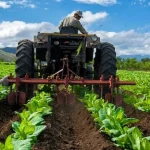 El Plan Agroalimentario Comunal: Estrategia clave para el impulso de la producción nacional