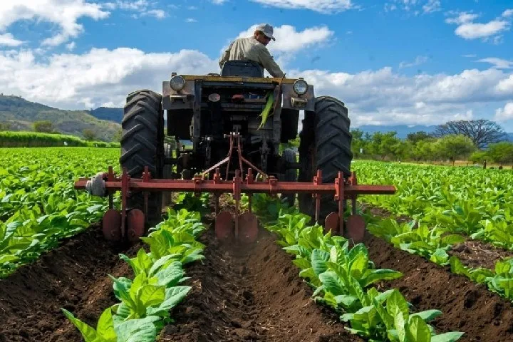 El Plan Agroalimentario Comunal