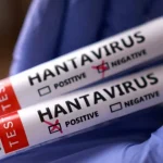 Protocolo de 42 días de cuarentena preventiva ante sospecha por brote de hantavirus es establecido por la OMS